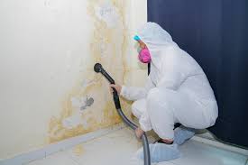 Best Basement Mold Removal in Highland, MD